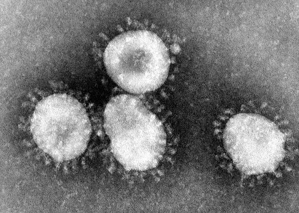 ¿Se ha cerrado la ventana de oportunidad para contener el coronavirus?