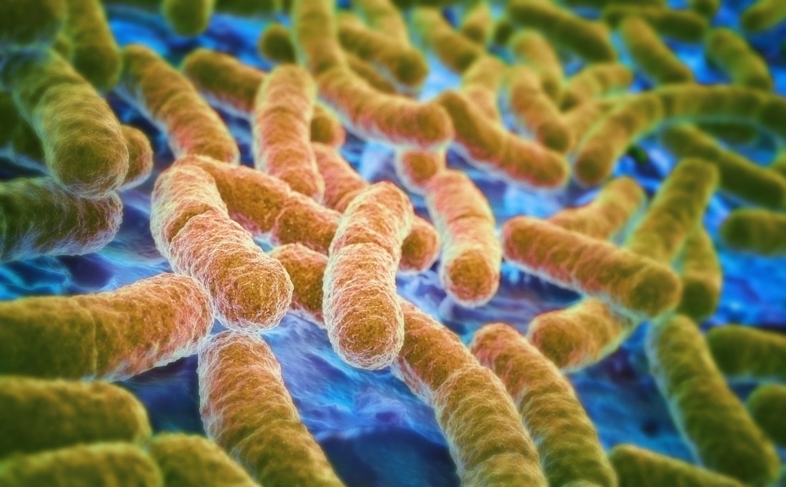 La Inteligencia Artificial descubre un antibiótico contra las “super-bacterias”