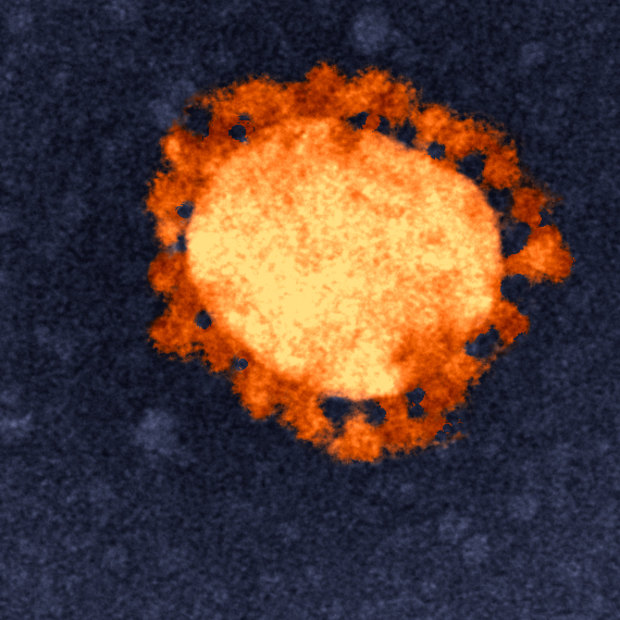 ¿Se irá el coronavirus cuando llegue el calor?