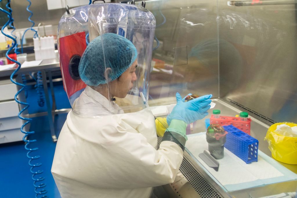 Los científicos que alertaron sobre una pandemia de coronavirus pero se quedaron sin financiación