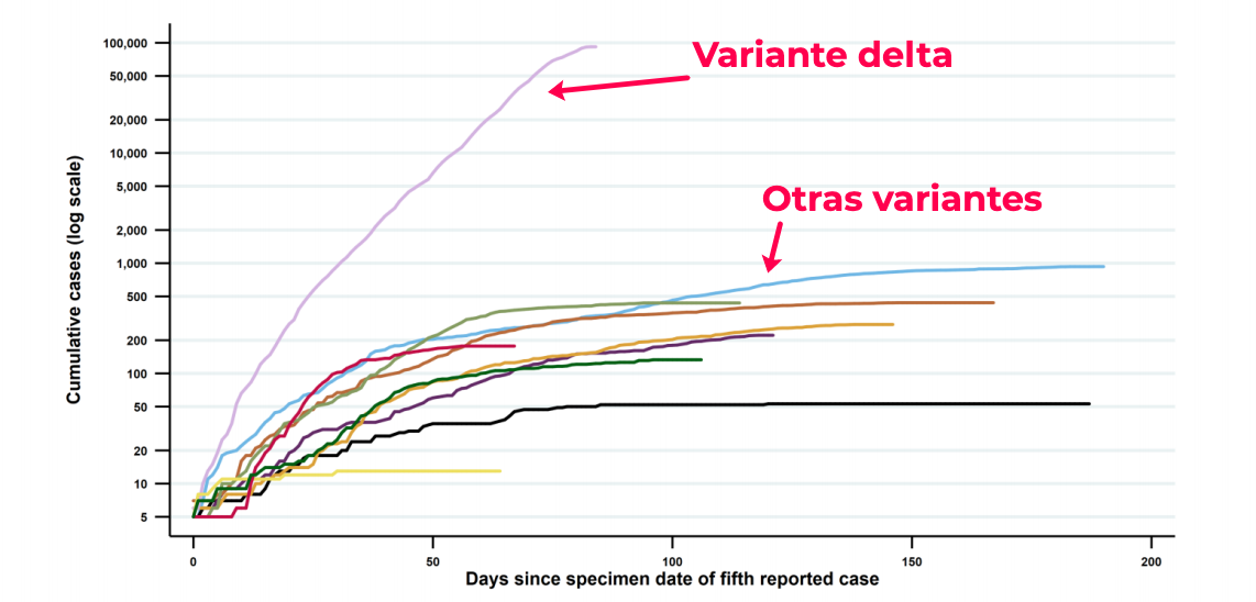 La variante delta sigue creciendo, pero no puede con las vacunas