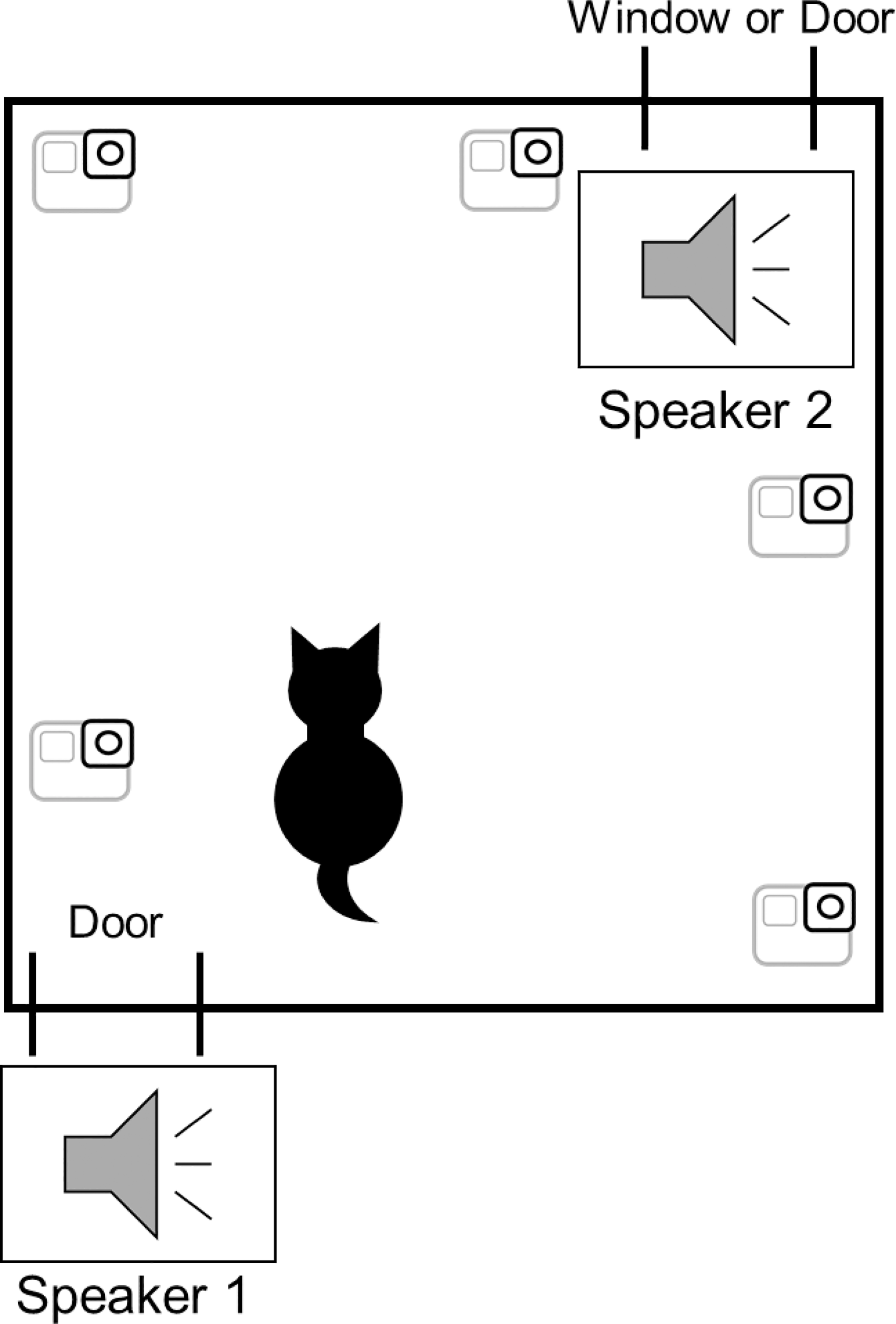 Así sabe tu gato en qué habitación de la casa estás