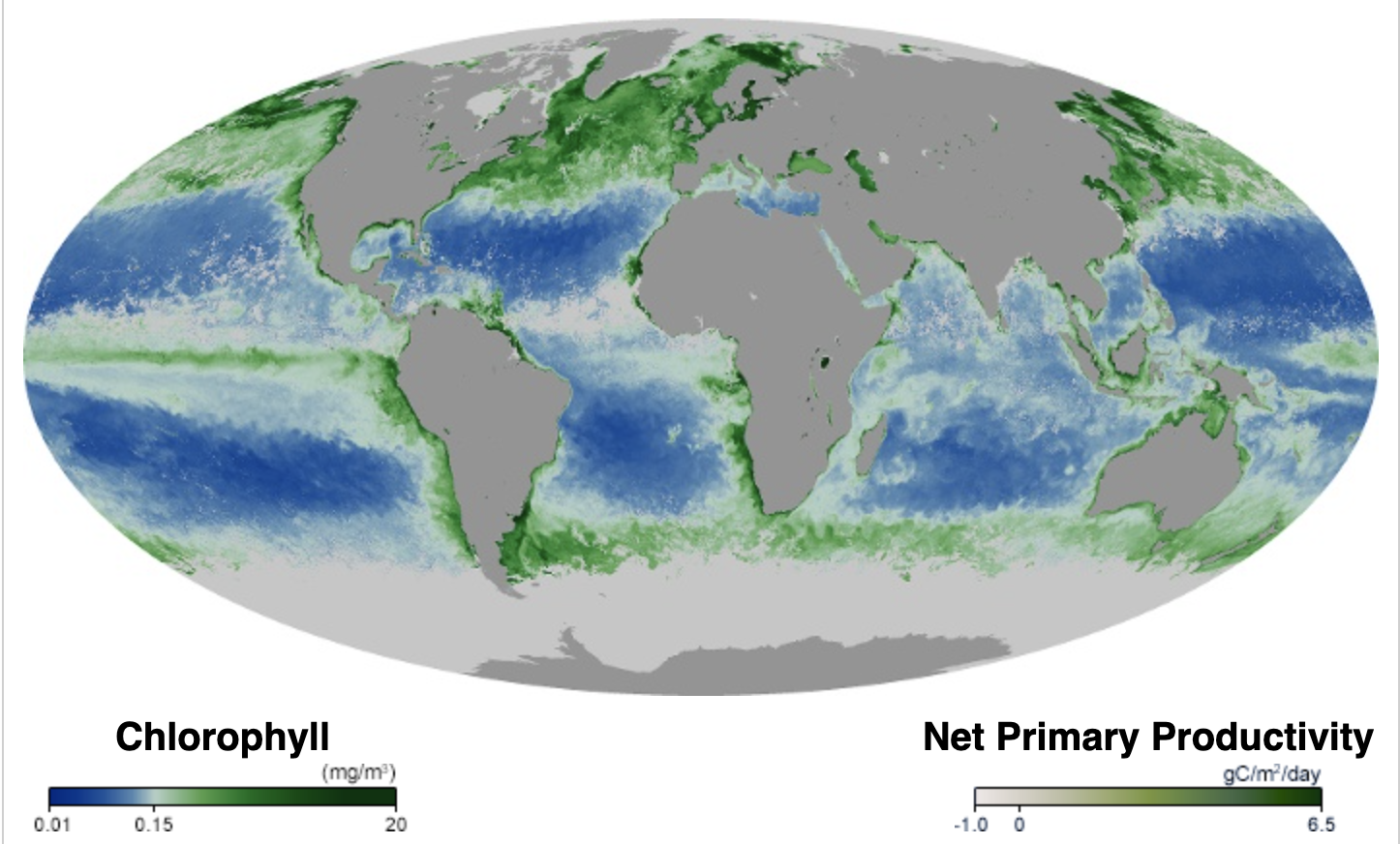 Cómo los océanos podrían perder su oxígeno