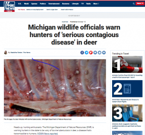 Si vas a Míchigan a comer ciervos, ten cuidado