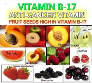 Vitamina B17 contra el cáncer, medio siglo de palos científicos
