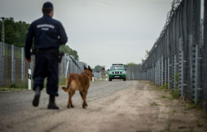 Un agente húngaro patrulla en la frontera. Foto: Gergely Botár / Gobierno de Hungría