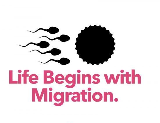 La vida empieza con migración