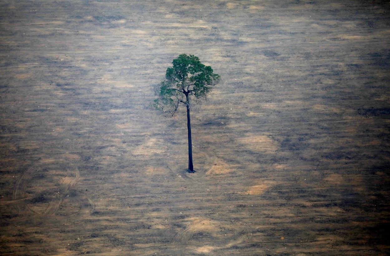 Vista aérea de una parcela deforestada del Amazonas cerca de Porto Velho. REUTERS / Bruno Kelly