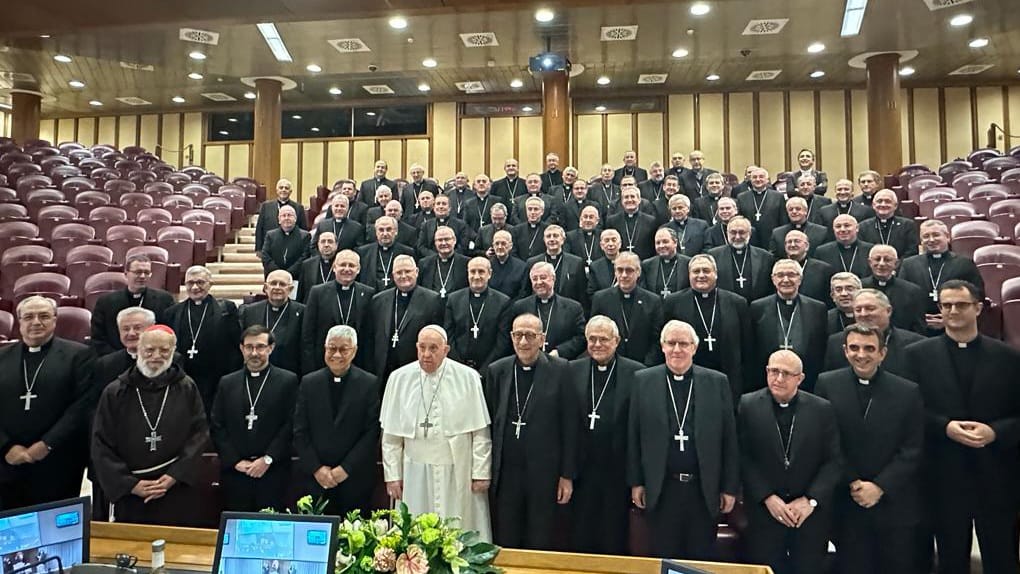 Obispos en el Vaticano: "Una gozada"