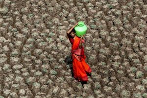Cambio climático, soberanía alimentaria y perspectiva de género: la respuesta vendrá del Sur