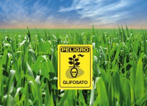 Glifosato: el polémico herbicida de Monsanto