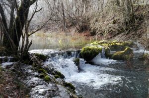 Demandas de Ecologistas en Acción al nuevo Gobierno, en relación a la gestión del agua