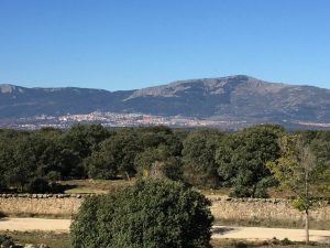 ¿Necesita Madrid una política rural?