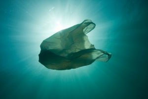 2018, el año en que descubrimos que el plástico nos está ahogando