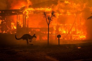 Australia arde, pero seguirá quemando carbón