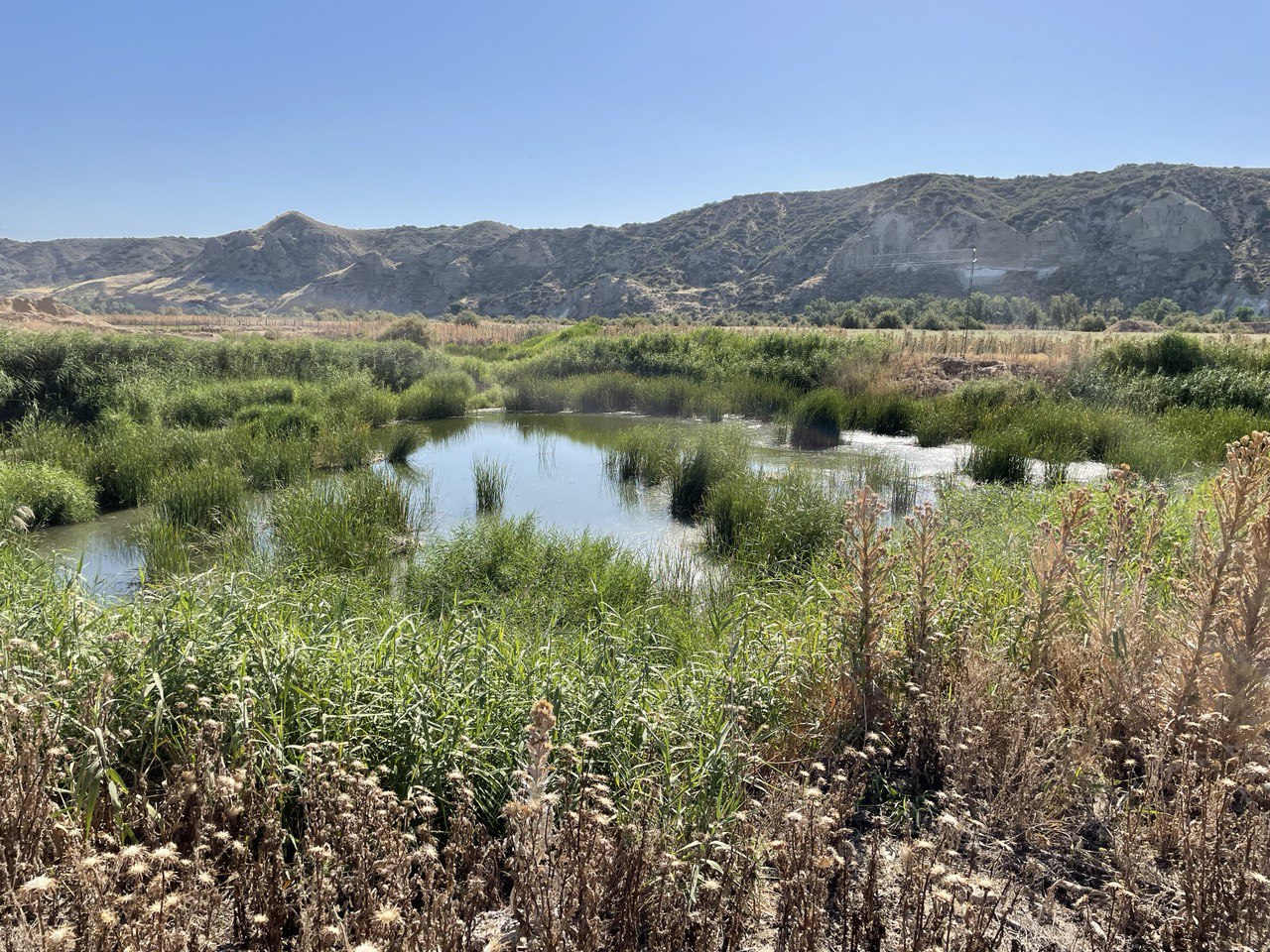 Imagen de las lagunas de Soto Gutiérrez, que estaban protegidas y han sido desecadas. CEDIDA