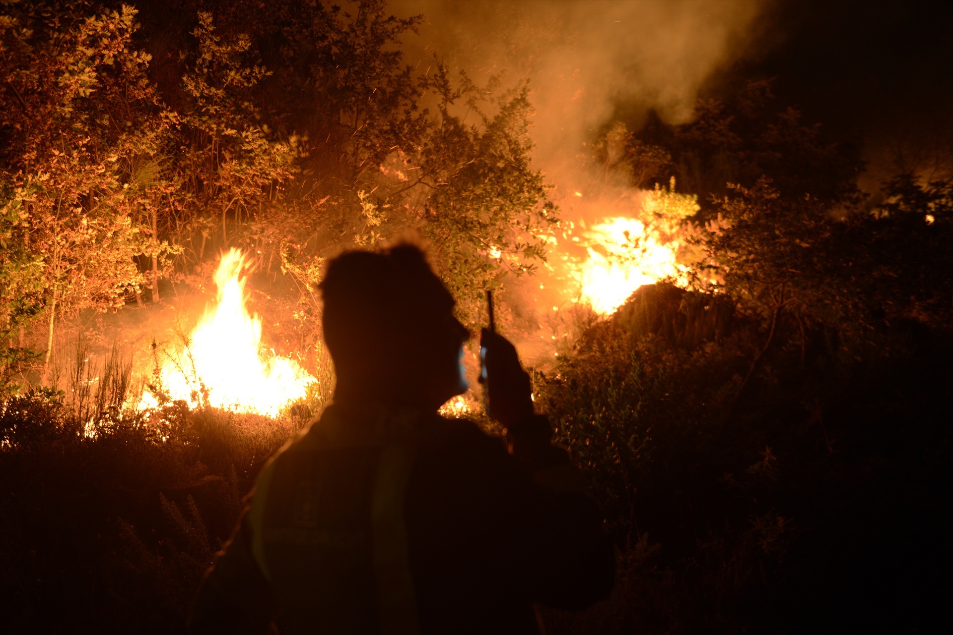Brigadas forestales y vecinos colaboraron en el control de las llamas, lejos de las viviendas, a 28 de julio de 2022, en Cudeiro, Orense, Galicia. -Rosa Veiga / Europa Press