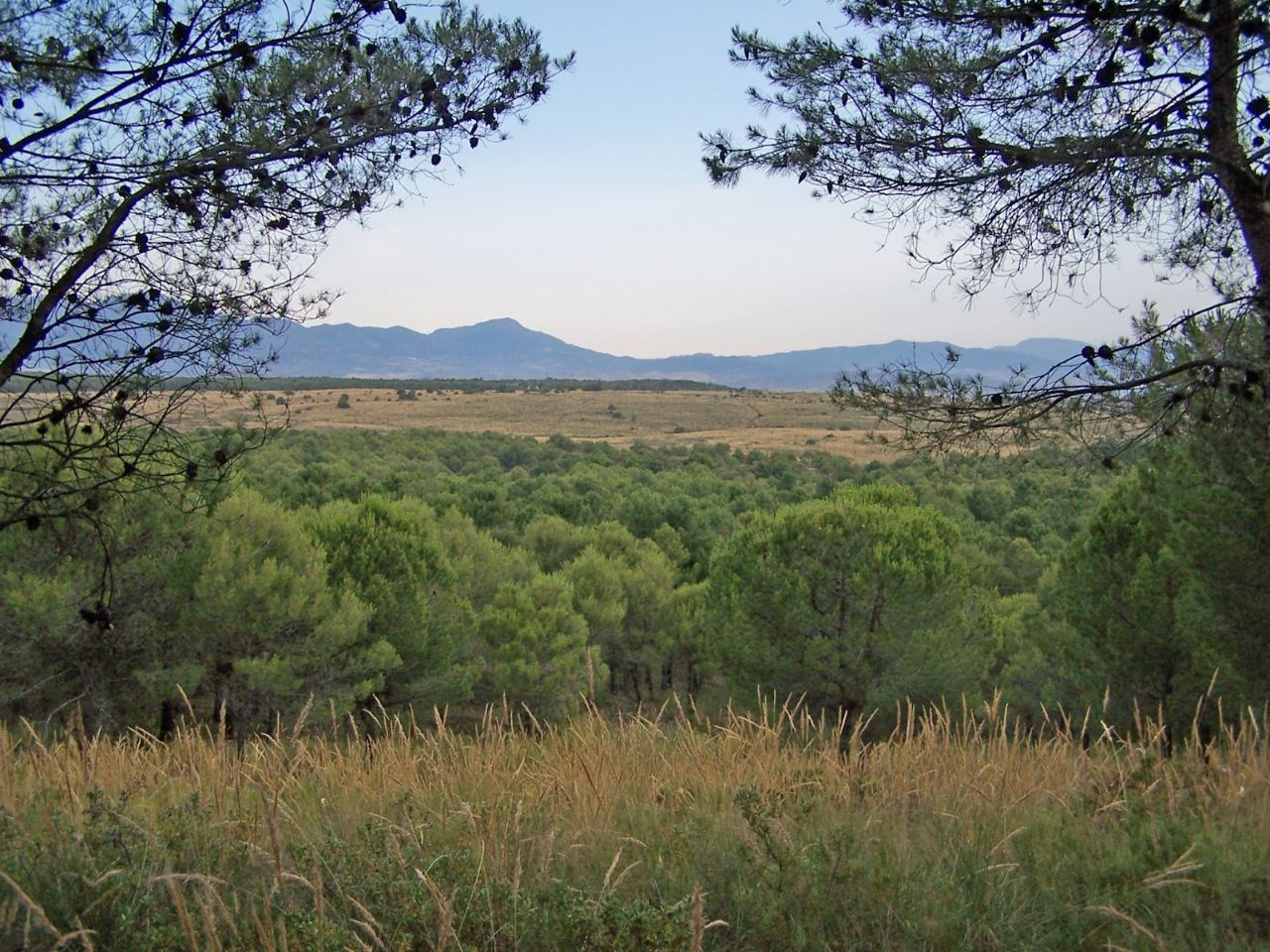Vista panorámica del Llano de Matagallar de Coín (Málaga) - FRANCISCO JOSÉ ENRÍQUEZ LLAGAS.