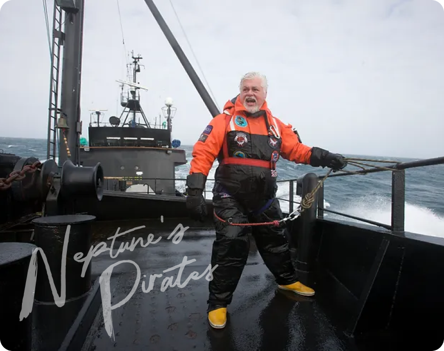 Paul Watson o la defensa de las ballenas