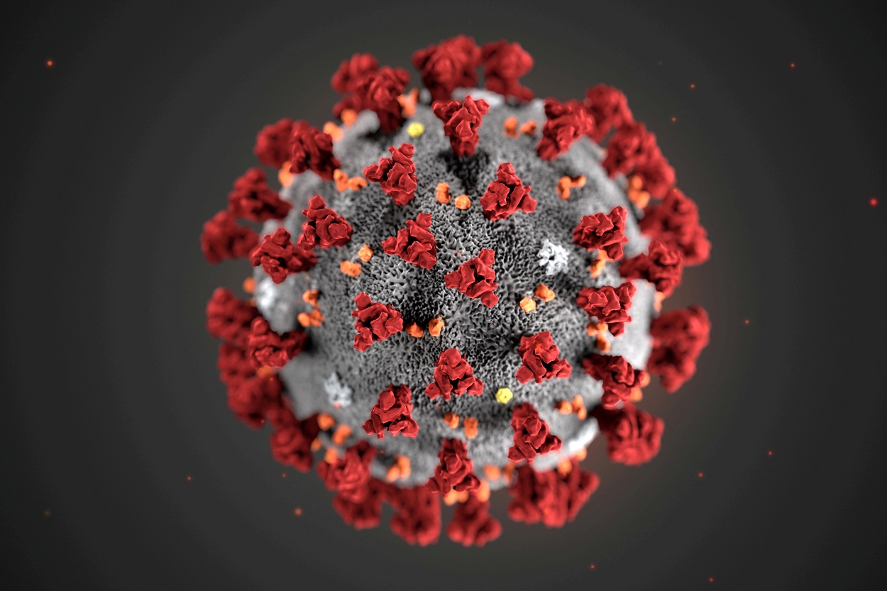 Una ilustración, creada en el Centro para el Control y la Prevención de Enfermedades (CDC) de Atlanta (Georgia, EEUU), muestra el coronavirus covid-19. REUTERS