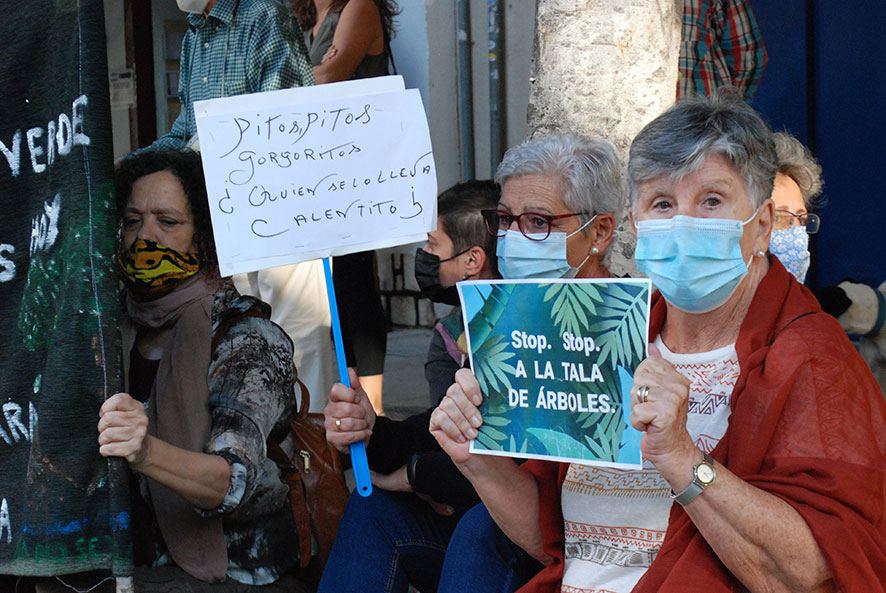 Nueva masacre medioambiental en Málaga
