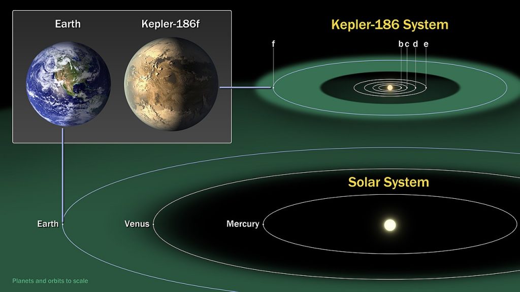 El planeta Tierra y el exoplaneta Kepler 186f en nuestras respectivas zonas de habitabilidad estelar, representadas como un disco. Imagen: Wikimedia Commons.