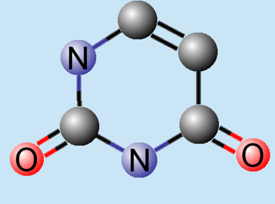 Estructura química de uracilo. Imagen: Wikimedia Commons.