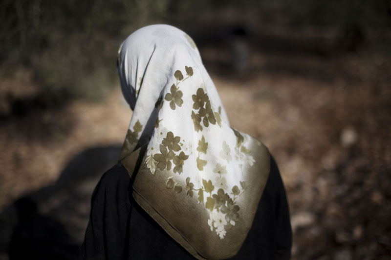 El olivo, símbolo de la lucha palestina