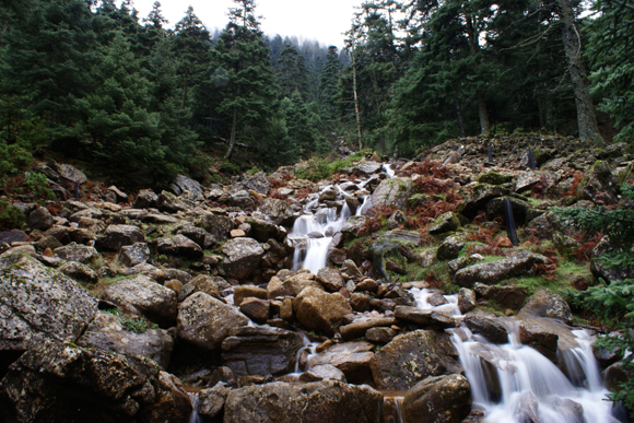 Las sierras de Bermeja y de las Nieves deben ser declaradas Parque Nacional