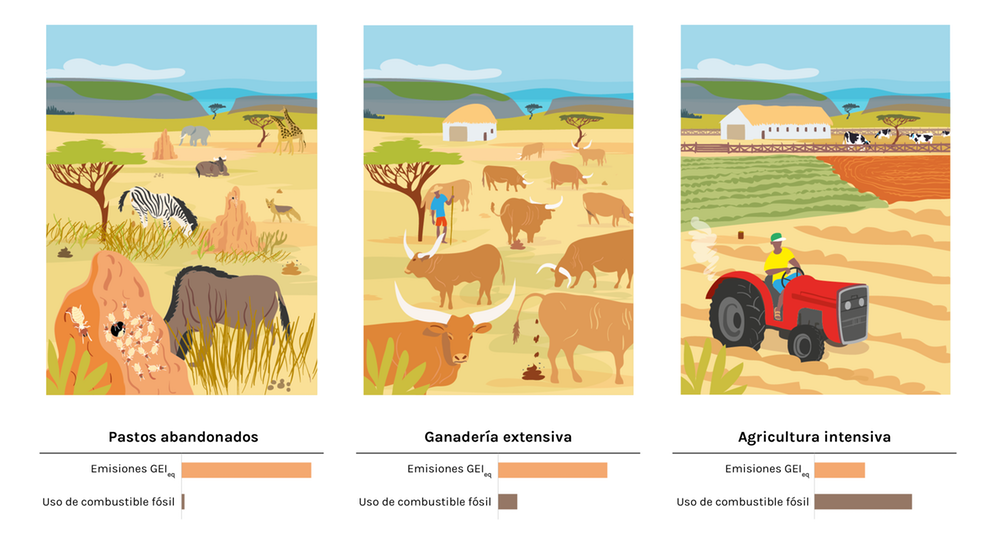 Emisiones y uso de combustible de pastos abandonados, ganadería extensiva y agricultura intensiva. @laclara.es/traducido y modificado del original en 'Climate Research', Author provided