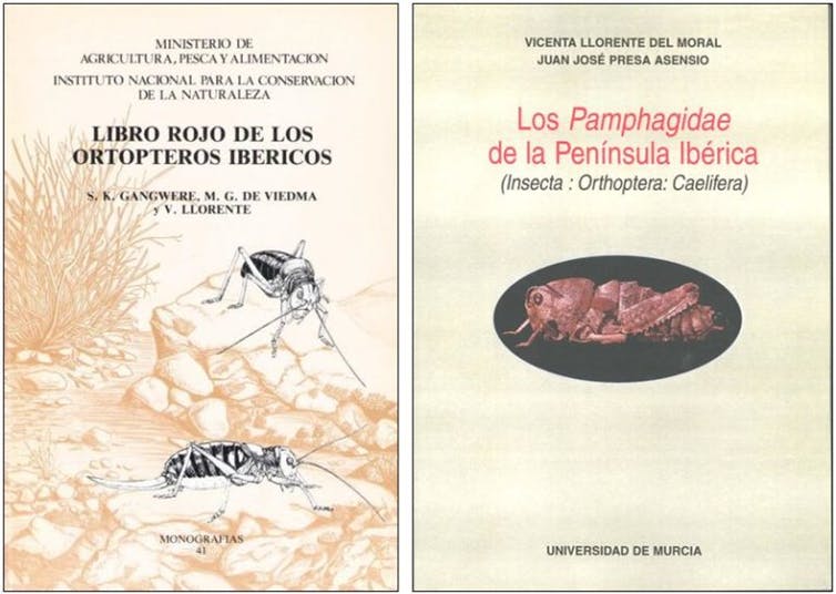 Algunas portadas de los libros de Vicenta Llorente del Moral.