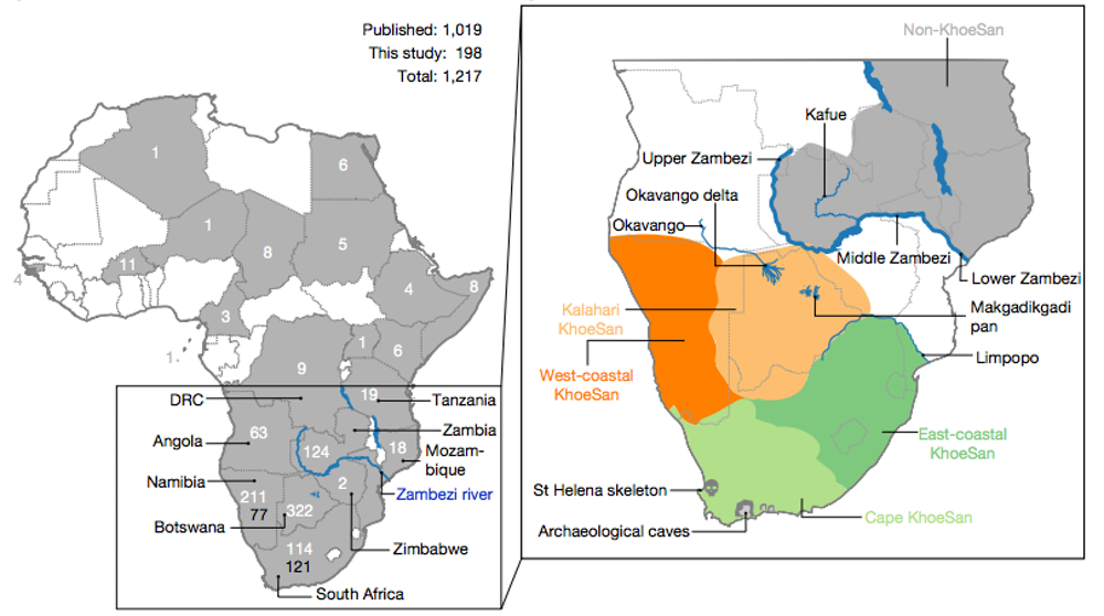 El mapa de la izquierda muestra la distribución del ADN ancestral entre la población muestreada. Esto permitió localizar la patria ancestral en una región (mostrada a la derecha en color naranja pálido) al sur del río Zambeze, centrada en el norte de Botsuana. Chan et al., Nature 2019