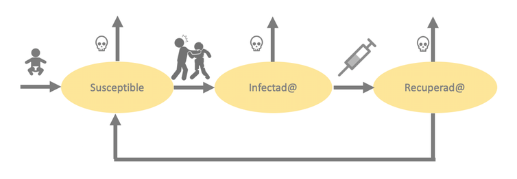 Representación de un modelo SIR para la epidemia zombie.