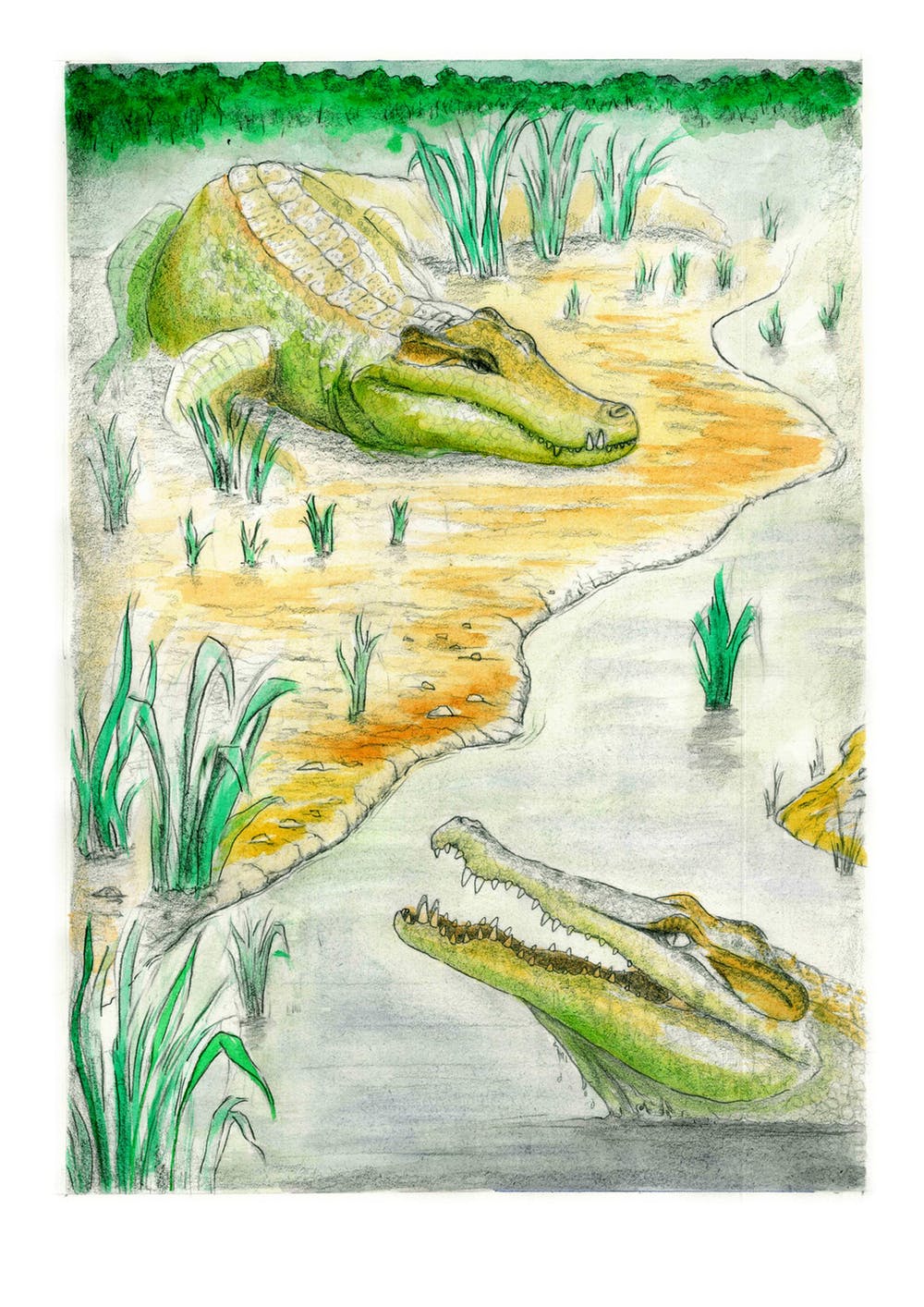 Reconstrucción de los cocodrilos descubiertos en la mina de Ariño (Teruel). Dinópolis, Author provided