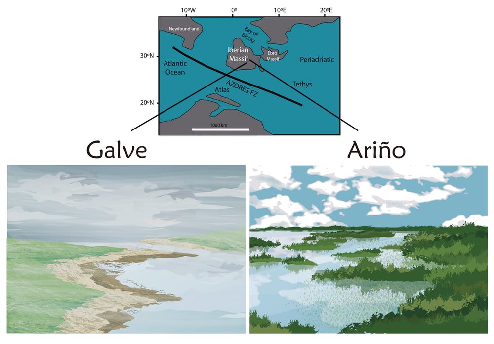 Península ibérica hace unos 130 millones de años (Cretácico inferior). Mapa modificado de Gerdes et al., 2010 en Geol. Soc./Reconstrucción paleoambiental de Lara de la Cita, Author provided