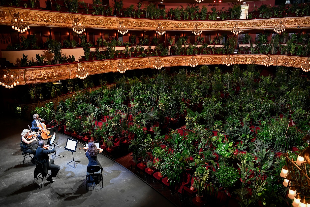 Las plantas ocupan el espacio de los espectadores en el Teatro del Liceu, de Barcelona, en el primer espectáculo en la sala tras la crisis del coronavirus. AFP/LLUIS GENE