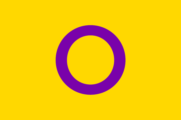 Bandera del orgullo intersexual