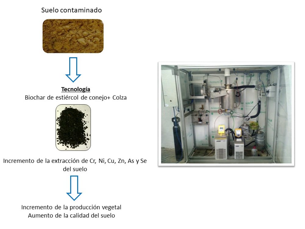 Esquema del proceso de recuperación de metales pesados utilizando biochar y colza. Author provided