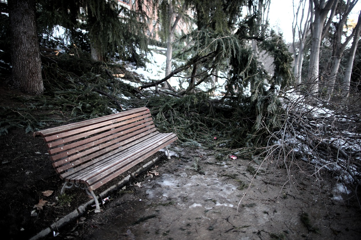 Ramas de árboles dañados por el paso del temporal Filomena en el Parque de la Fuente del Berro en el distrito de Ventas, en Madrid. R.P./Eduardo Parra