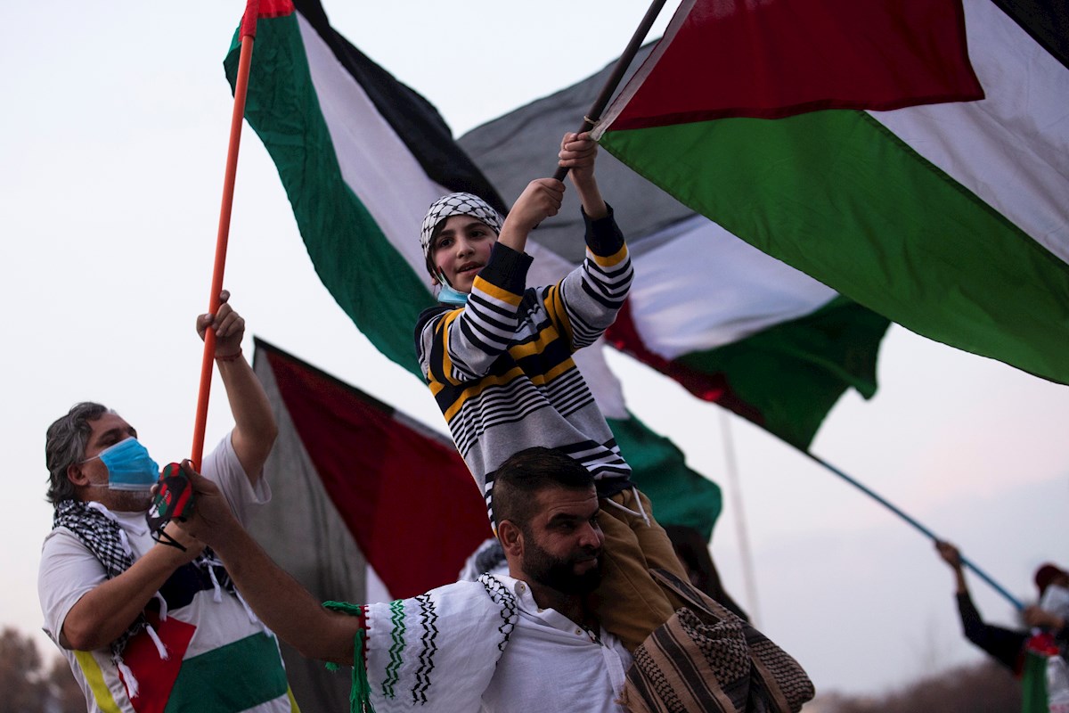 Una familia ondea las banderas en defensa de Palestina. - Alberto Valdes / EFE