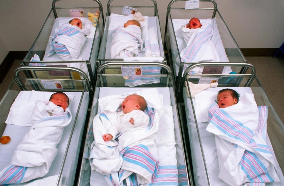 Bebés recién nacidos en sus cunas.