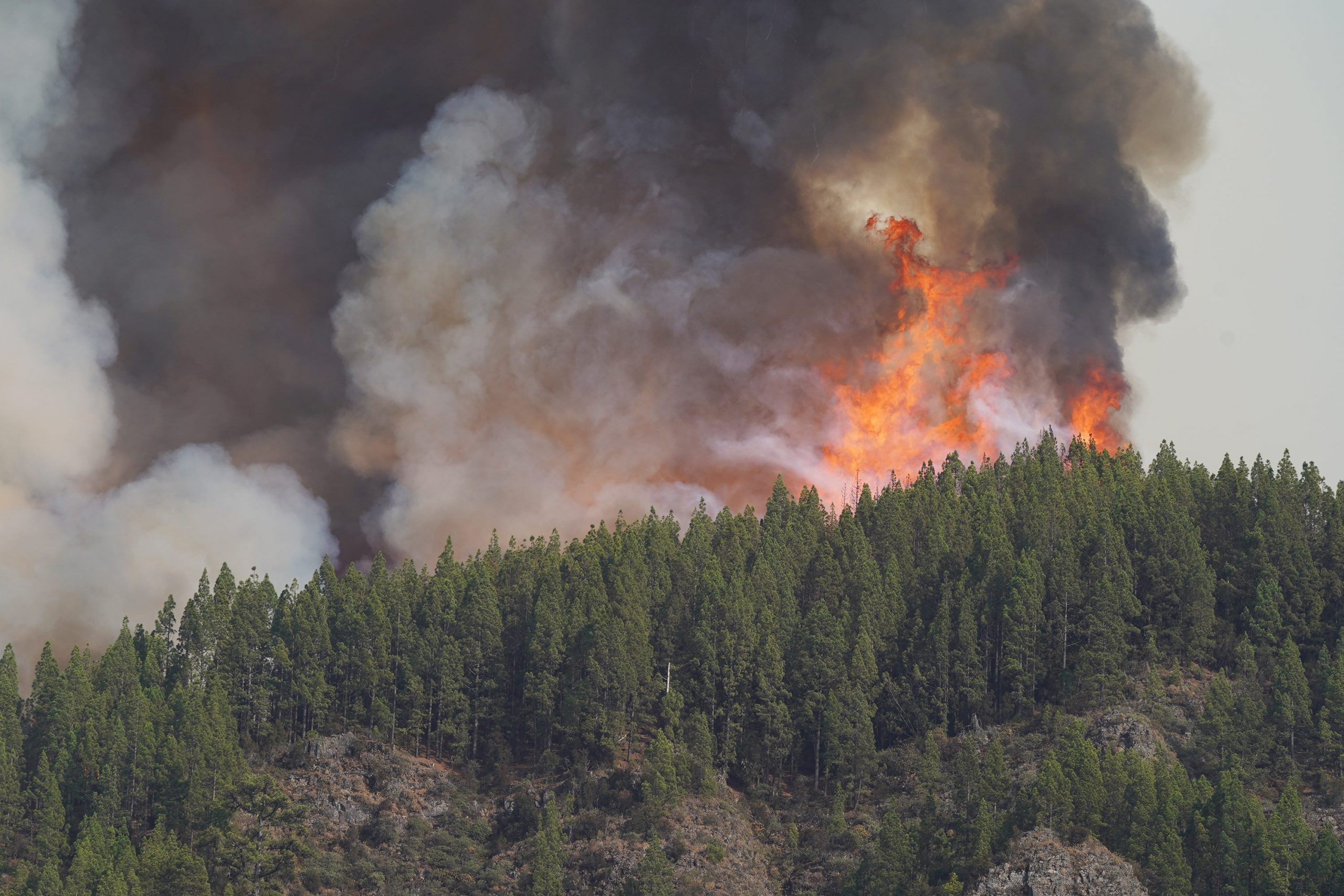 El incendio forestal, a 17 de agosto de 2023, en La Orotava, Tenerife, Islas Canarias (España). Europa Press