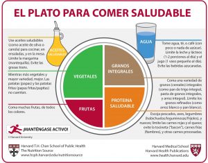 El Plato de Harvard: la guía más intuitiva para comer saludable