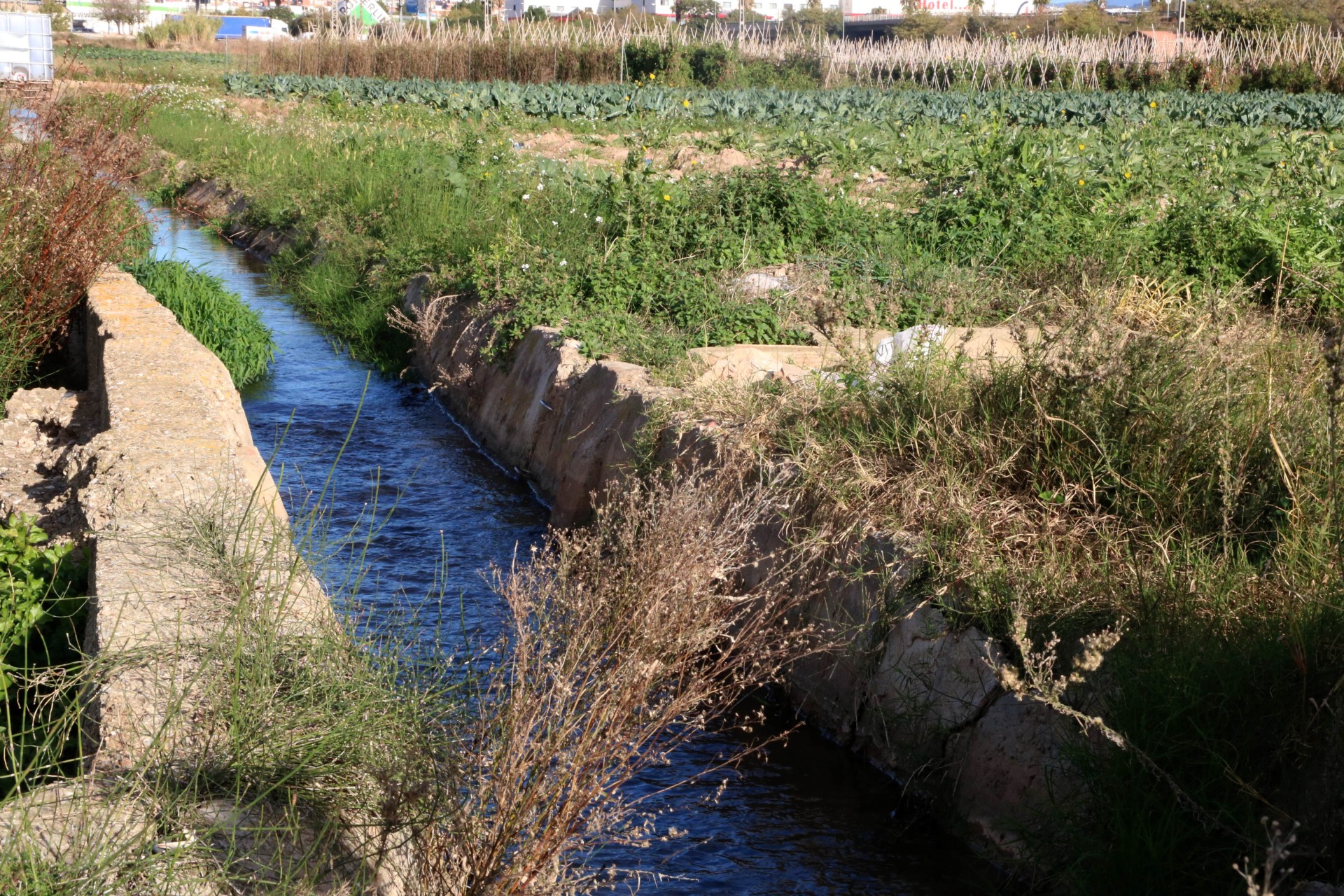 Canal de reg al riu Llobregat. — Gemma Sánchez / ACN 
