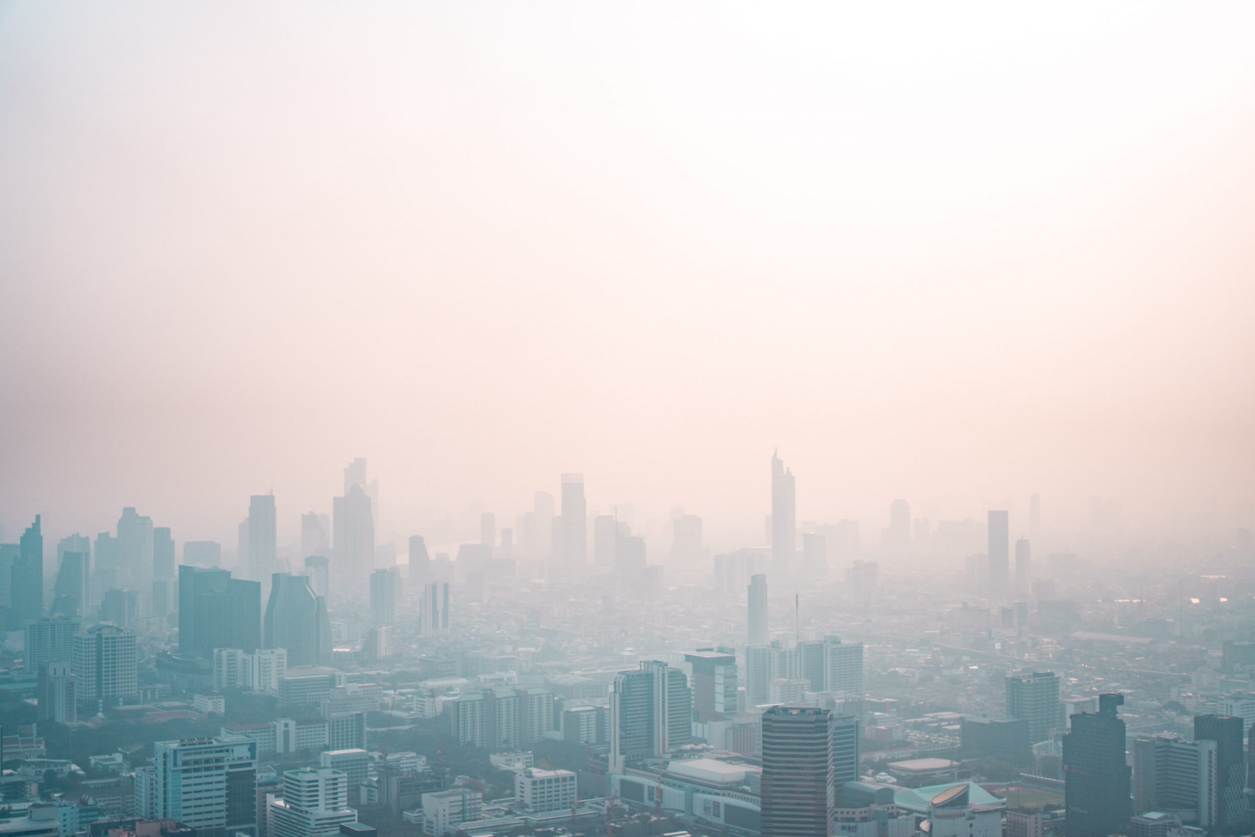 Las ciudades ante la emergencia climática