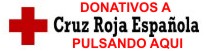 Página de donativos de Cruz Roja Española
