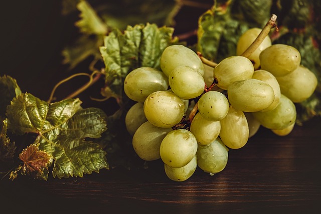 Deflector Inmunidad estaño El sorprendente origen de la tradición de comer las uvas en Nochevieja –  Pato confinado